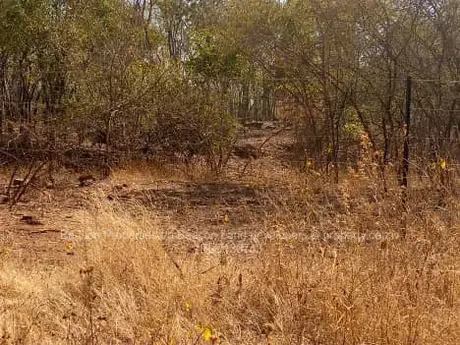 Chegutu Plots