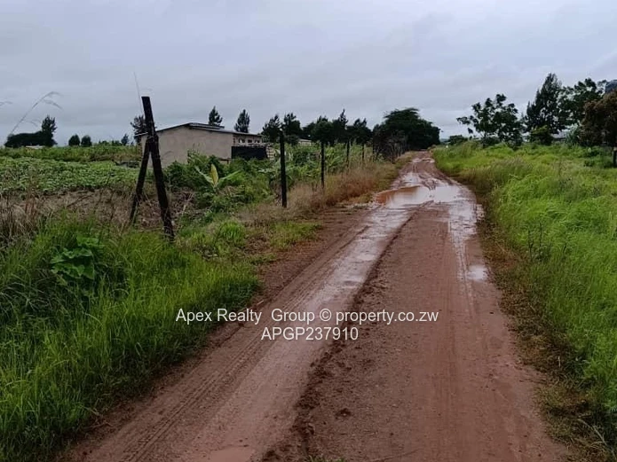 Rainham Plot for sale (Sole Mandate)