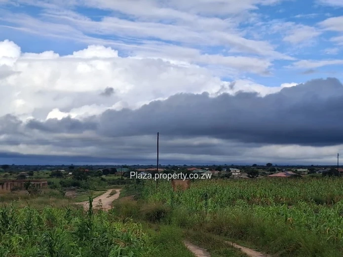 Stand For Sale In Chivhu - Buckenhill