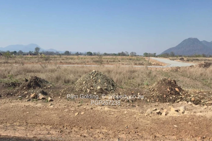 Low density residential stands next to a game park (Sole Mandate)