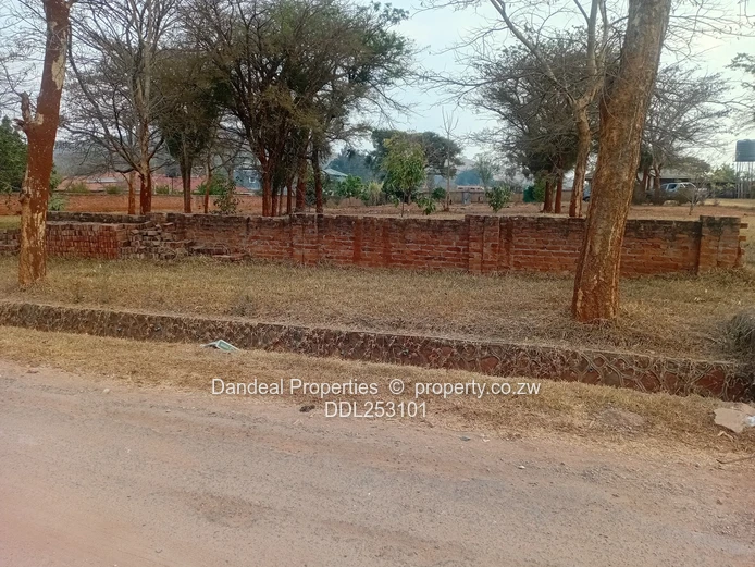 2000m² Carrick Creagh Stand — Main Road Frontage, Tarred Access