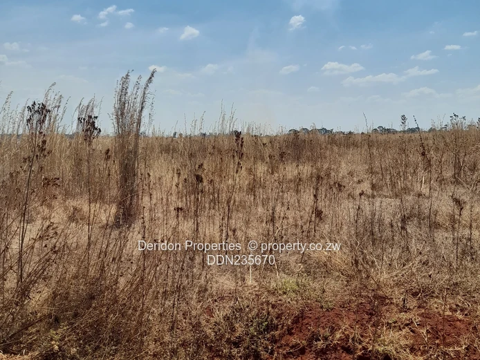 Build your dream home  (Sole Mandate)