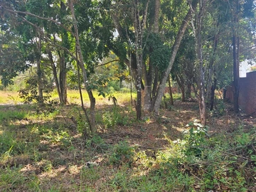 Land
