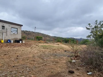 Farm & Agricultural Land