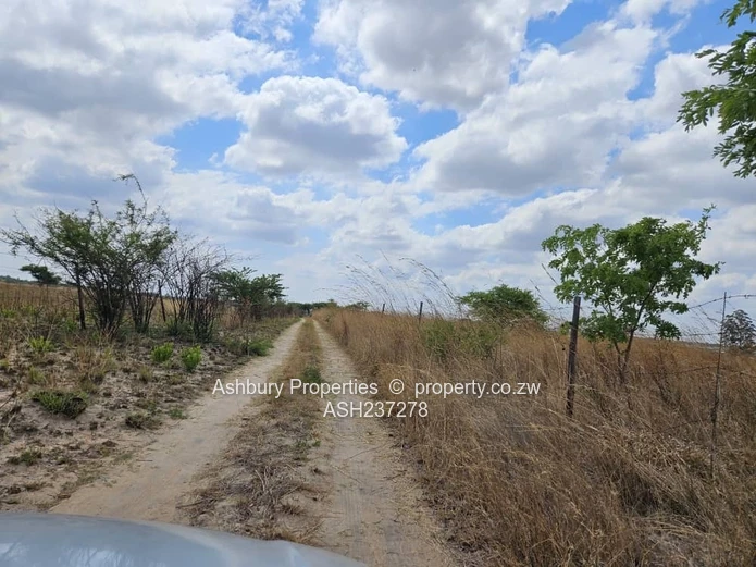 A nice plot a stone throw away from Ruwa Rehab center on the road linking Harare Airport just Timire