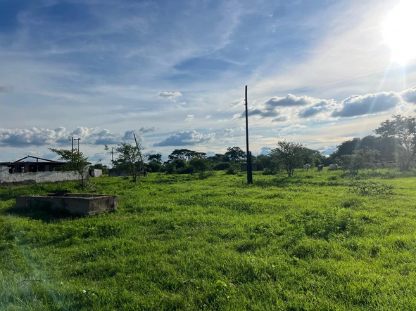 Farm & Agricultural Land