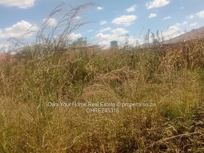 Sandton Stand For Sale 