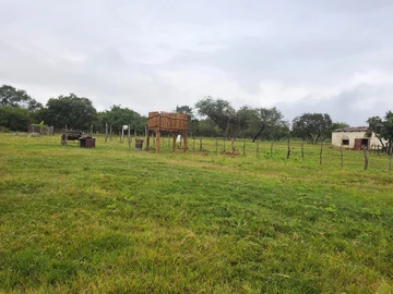 Farm & Agricultural Land