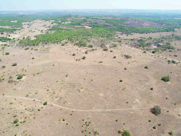 Farm & Agricultural Land