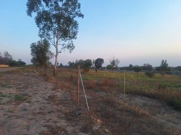 Stands & Residential Land
