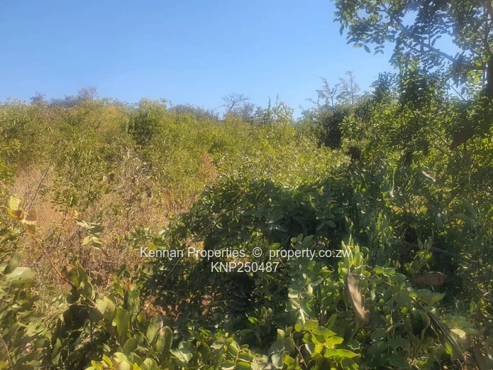 Prime 2,000sqm Residential Stand for Sale – Golden Heights, Mshumavale, Kadoma