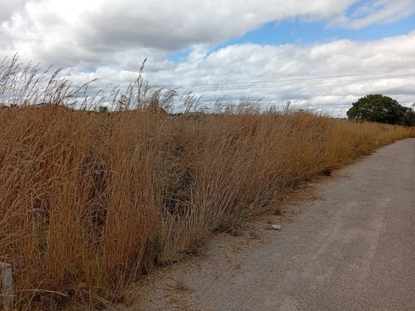 Commercial & Industrial Land