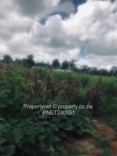 Prime residential stand 