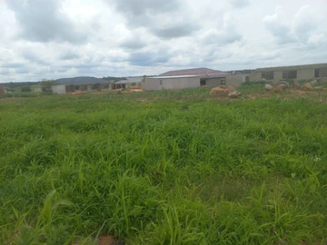 Stands & Residential Land