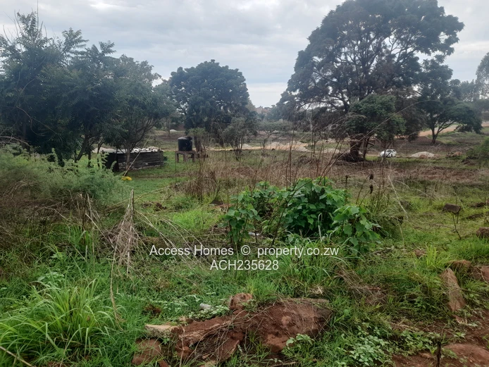 Borrowdale hogertyhill
