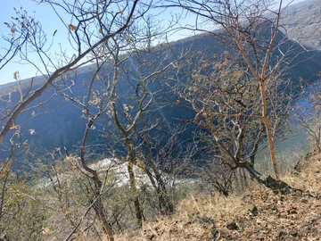 Commercial & Industrial Land