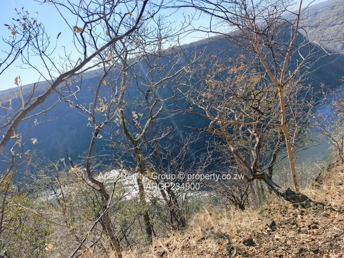Zambezi Gorge Frontage