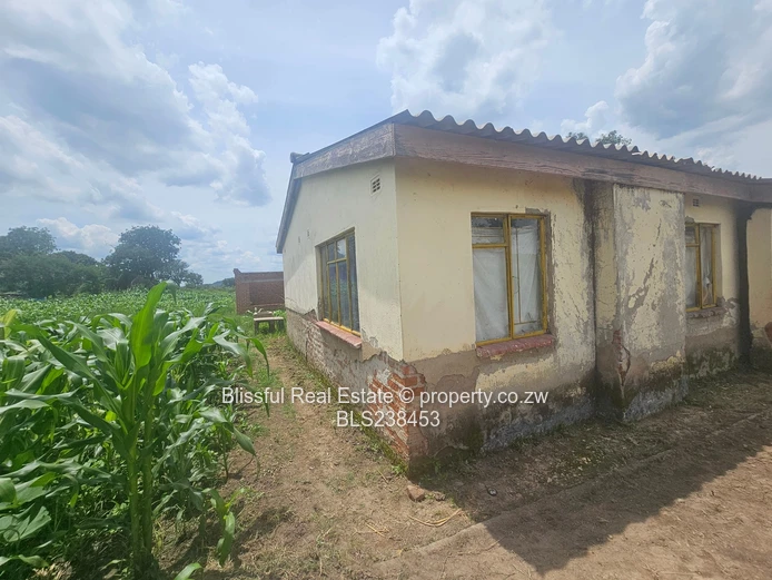 Sally Mugabe Heights property for sale 