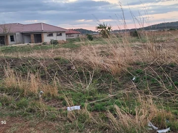 Stands & Residential Land