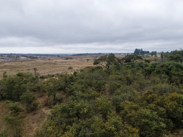 Commercial & Industrial Land