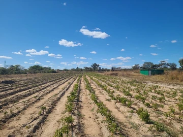 Farm & Agricultural Land