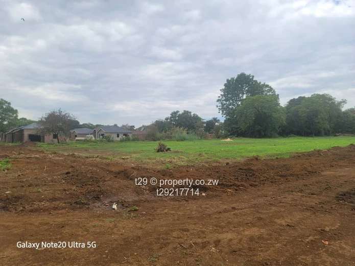 Marlborough Adylinn stands for sale