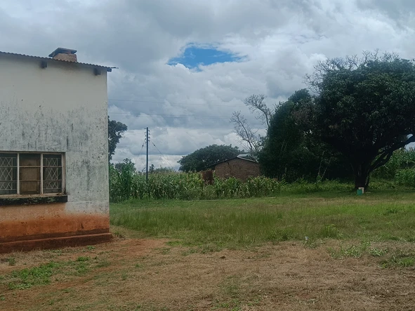 Farm & Agricultural Land