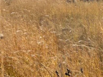 Spacious 16,000 m² Farm Land in Norton with Road Frontage.