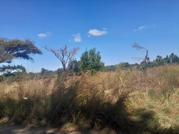 Stands & Residential Land