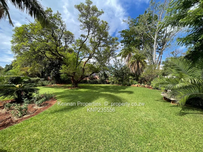 Neat Starter Home In Central Alex Park With Good Power