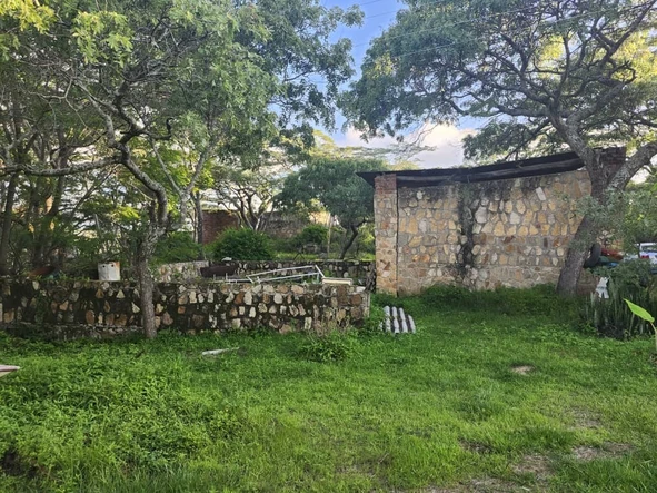 Farm & Agricultural Land