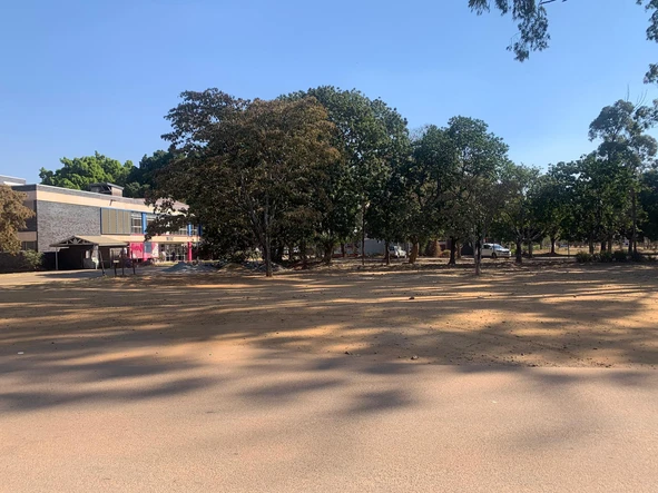Commercial & Industrial Land