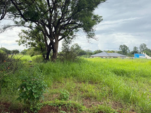 Stands & Residential Land