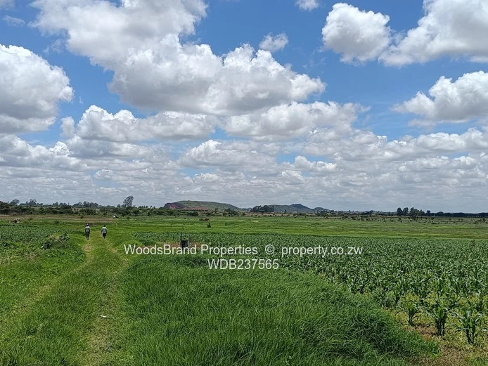 Mt Hampden land For Sale