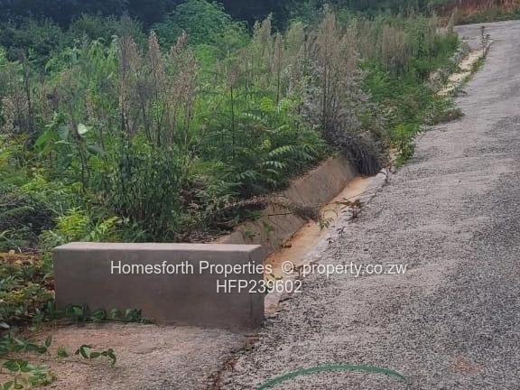 Great Opportunity!!!