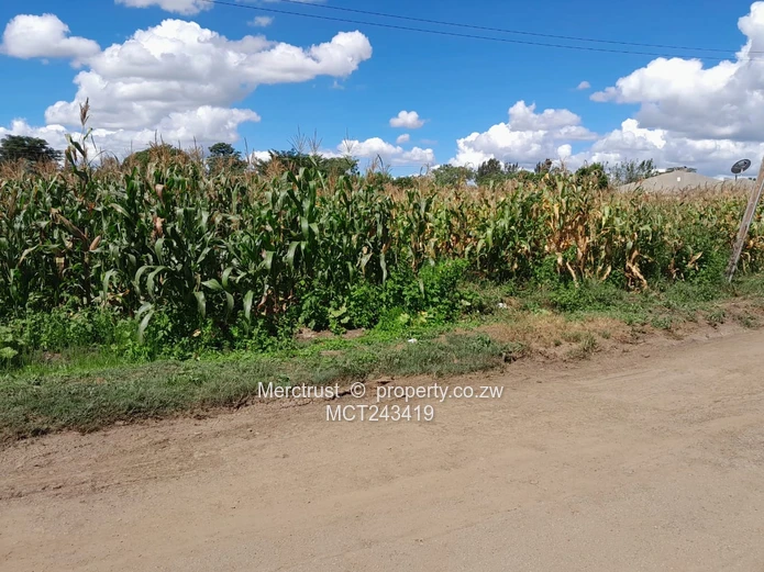 Half acre stands (serviced) (Sole Mandate)