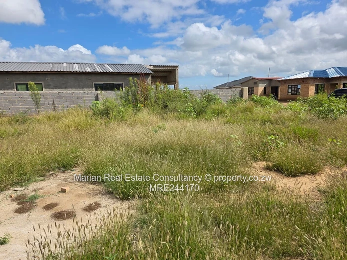 Emganwini Stand FOR SALE