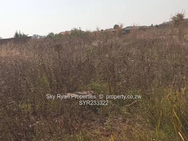 Pomona Stand For Sale