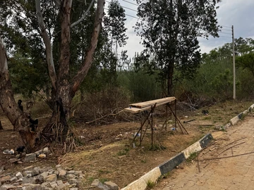 Stands & Residential Land