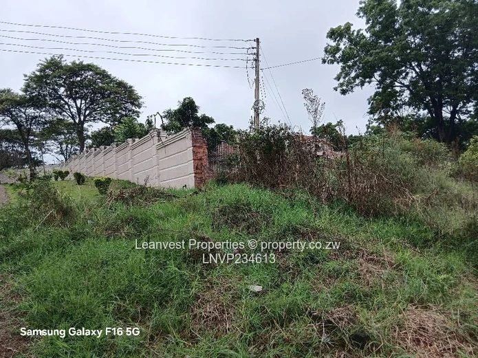 Stand For Sale In Borrowdale Helensvale 