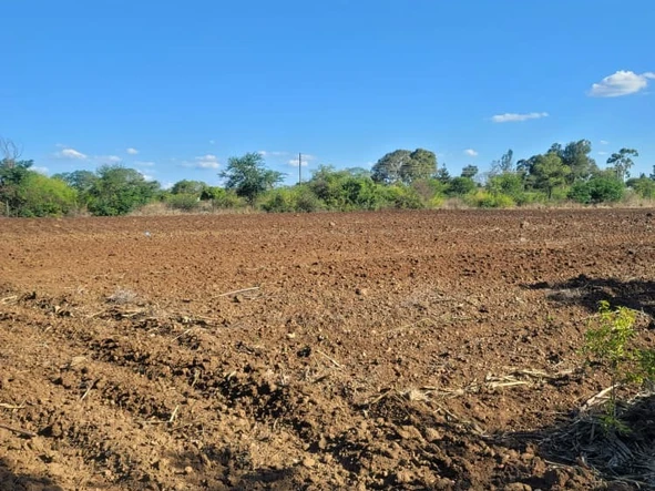 Farm & Agricultural Land