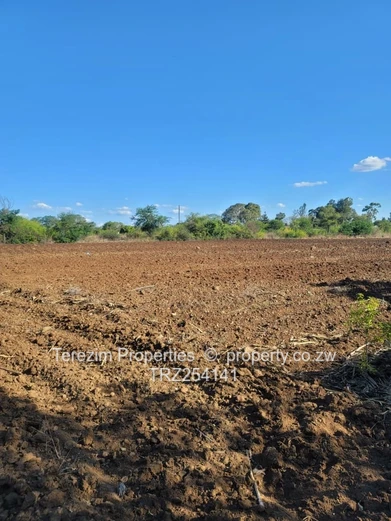 Gweru Habern Park Plot For Sale