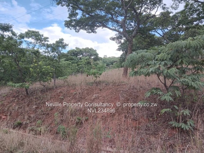 Glenlorne (Chishawasha)