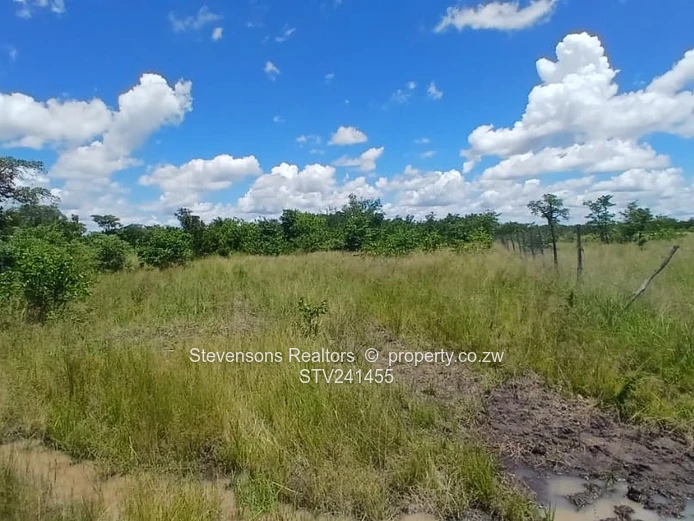 Clonmoran Stands, Halfway Road, Kadoma