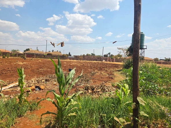 Stands & Residential Land