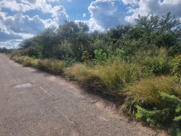 Stands & Residential Land