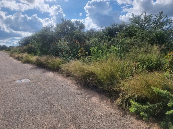 Stands & Residential Land