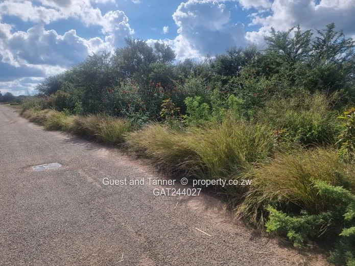 4000m² Willsgrove Stand — Spacious, Green & Ready