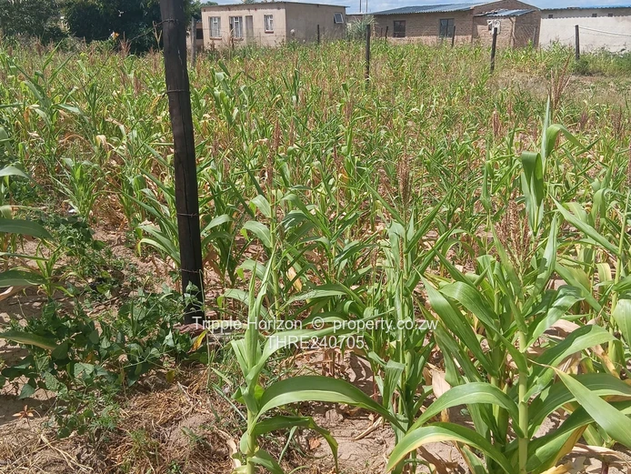 Stoneridge Stands For Sale (2) (Sole Mandate)