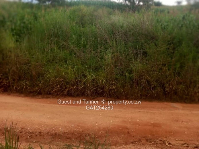 Charlotte Brooke | Residential Stand For Sale – Us$20,000